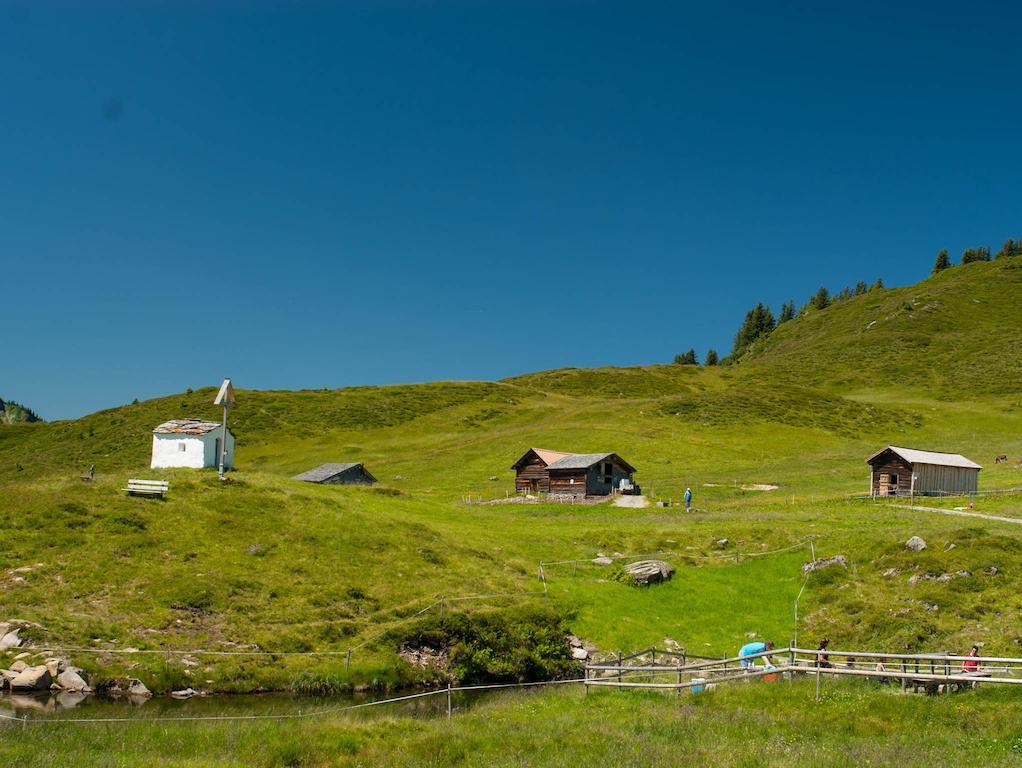 Haus Furka Otel Damuels Dış mekan fotoğraf